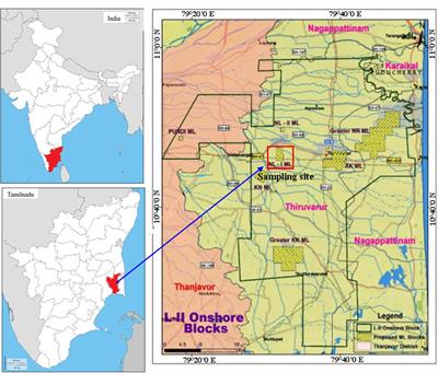 Biosurfactant and Degradative Enzymes Mediated Crude Oil Degradation by Bacterium Bacillus subtilis A1